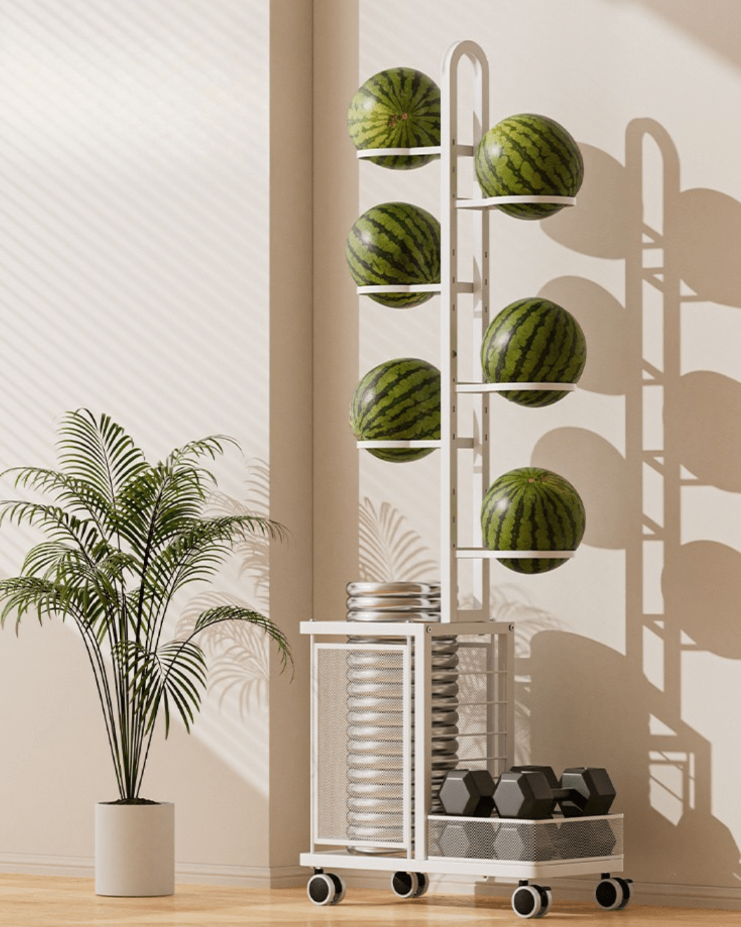 Balls & Accessories rack - Eaze Mart
