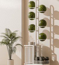 Balls & Accessories rack - Eaze Mart