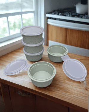 Bento preservation box - Eaze Mart