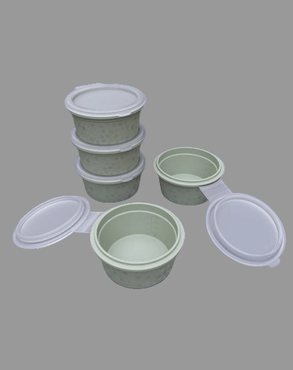 Bento preservation box - Eaze Mart