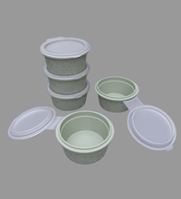 Bento preservation box - Eaze Mart