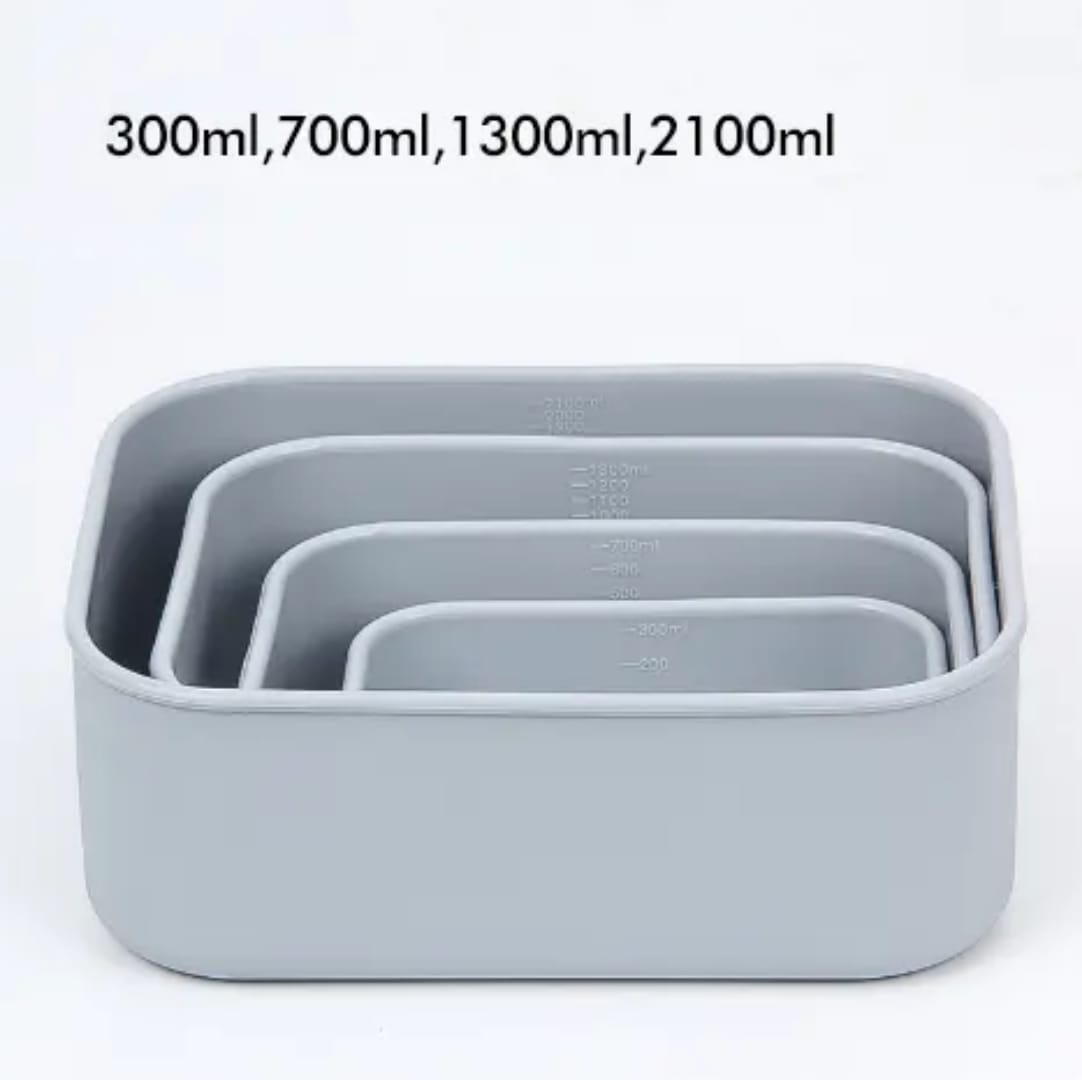 Rectangle Bento Boxes - Set of 4 - Eaze Mart