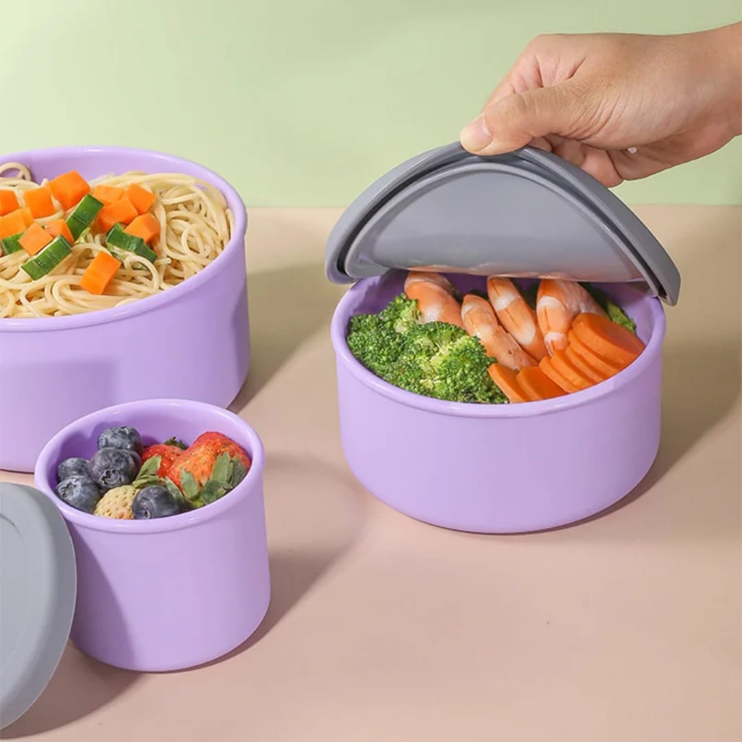 Silicone Lunch Box Set – 4 Pieces (Multiple Colors) - Eaze Mart